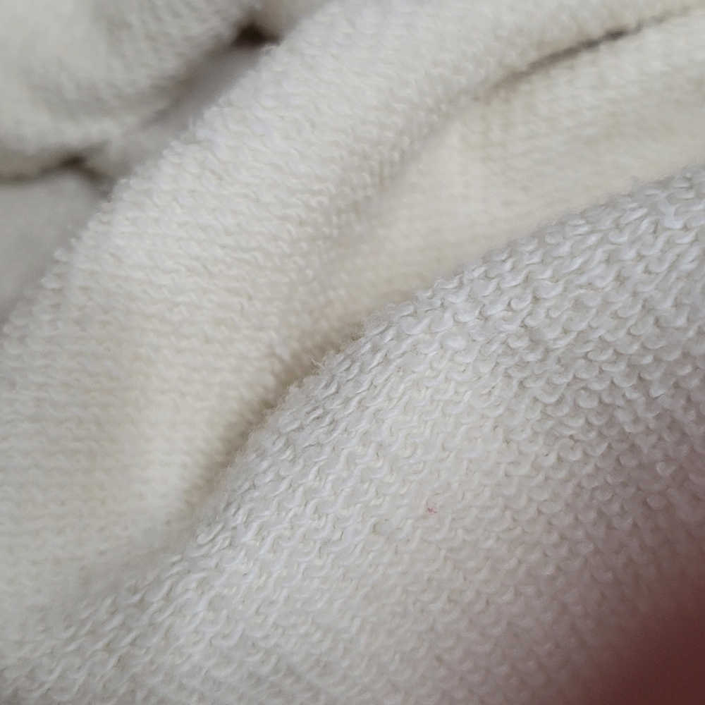 American Eagle Outfitters Cream Hoodie for Men Terrycloth Lining Sz Small - Picture 11 of 11